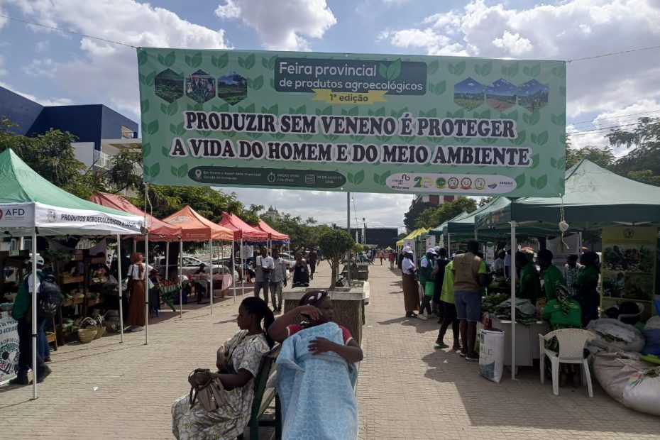Feira Provincial de Produtos Agroecológicos e Locais em Nampula: Promovendo a produção saudável