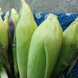 Macarroca