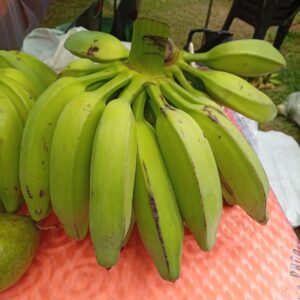 Banana